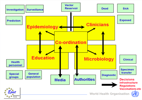 1638.Outbreak management.png-550x0.png